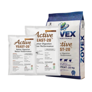 Active Yeast-20